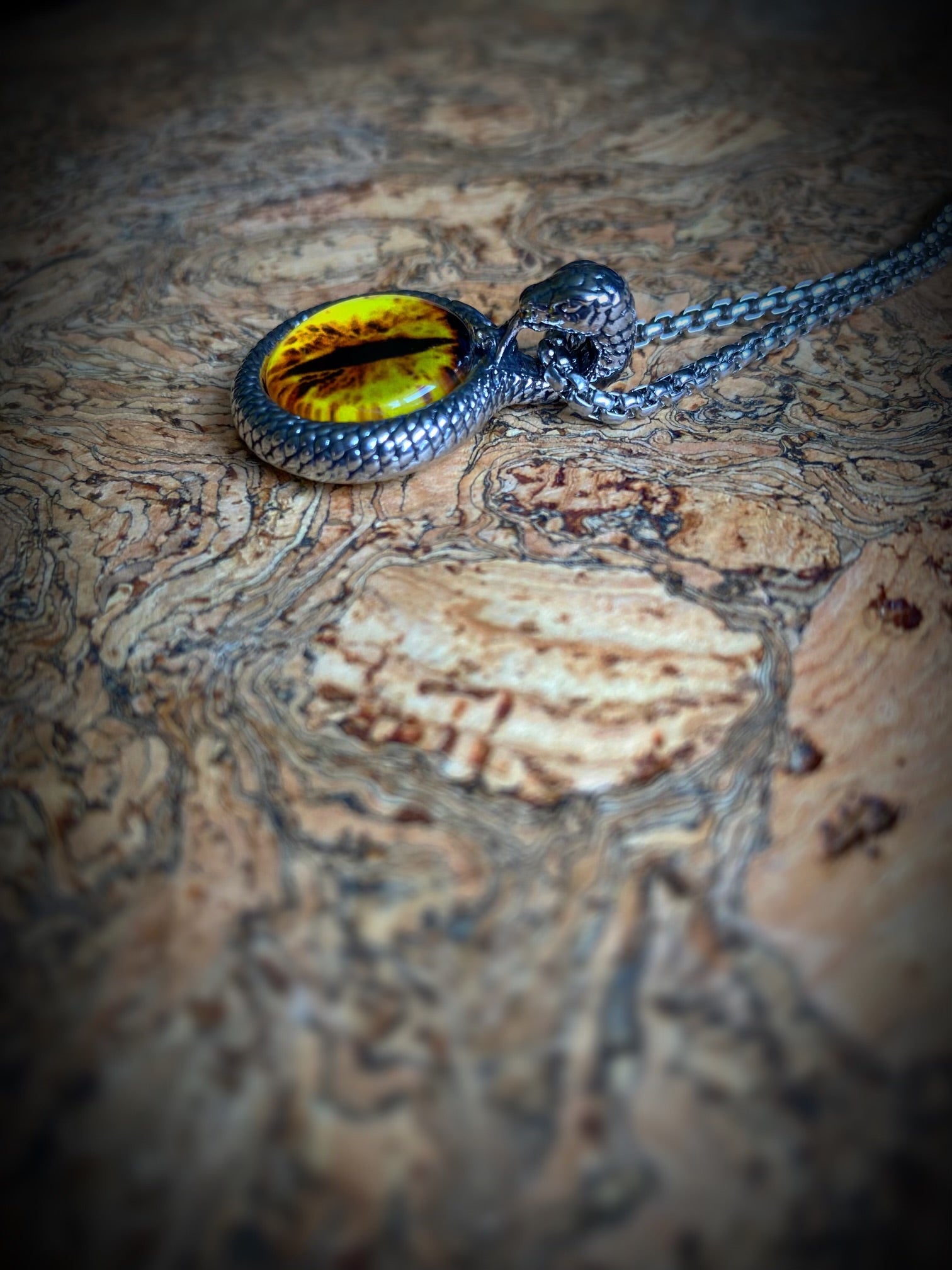 Pagan Necklace - The Serpents Eye