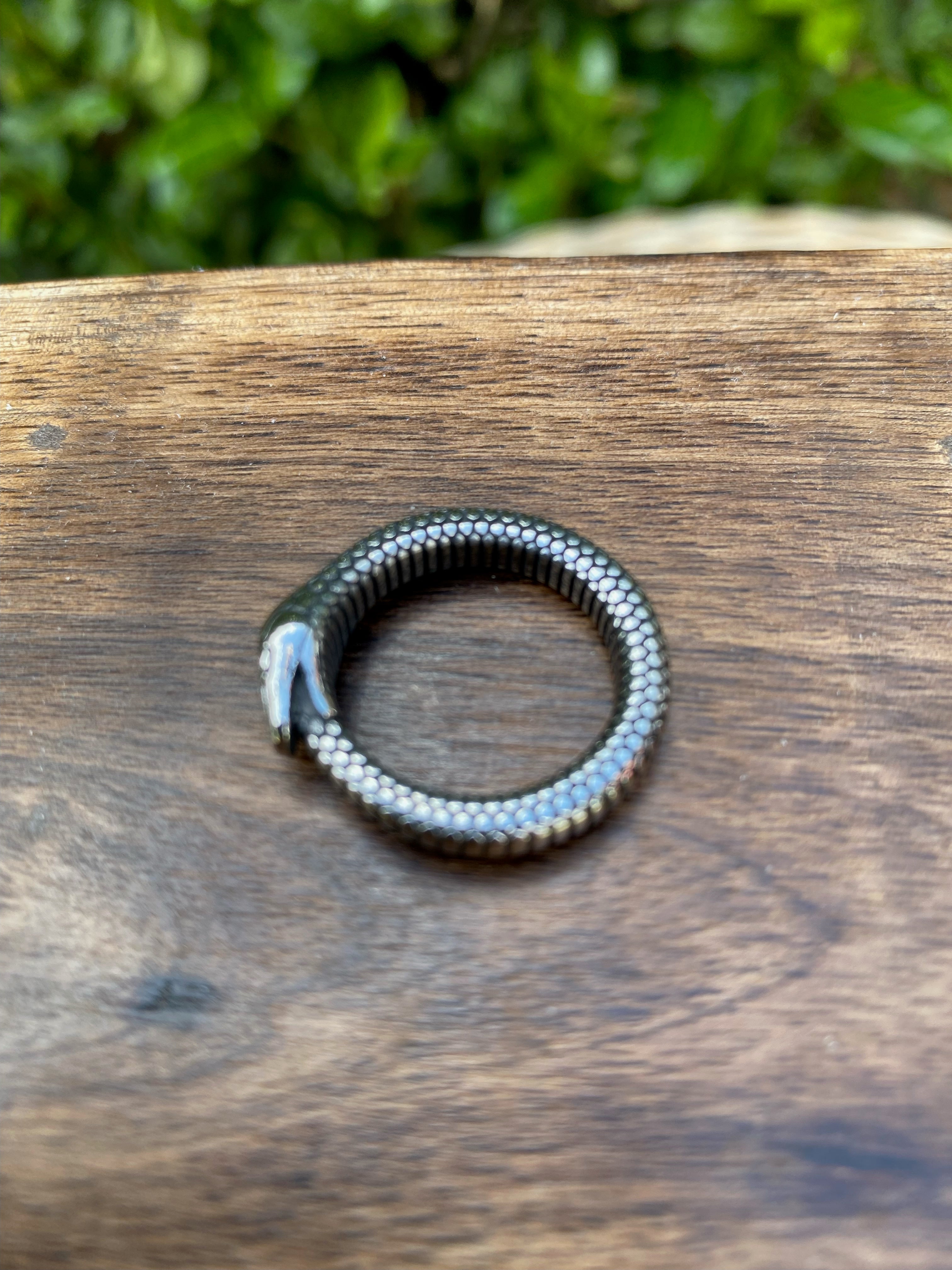 Viking Ring - The Serpents Circle