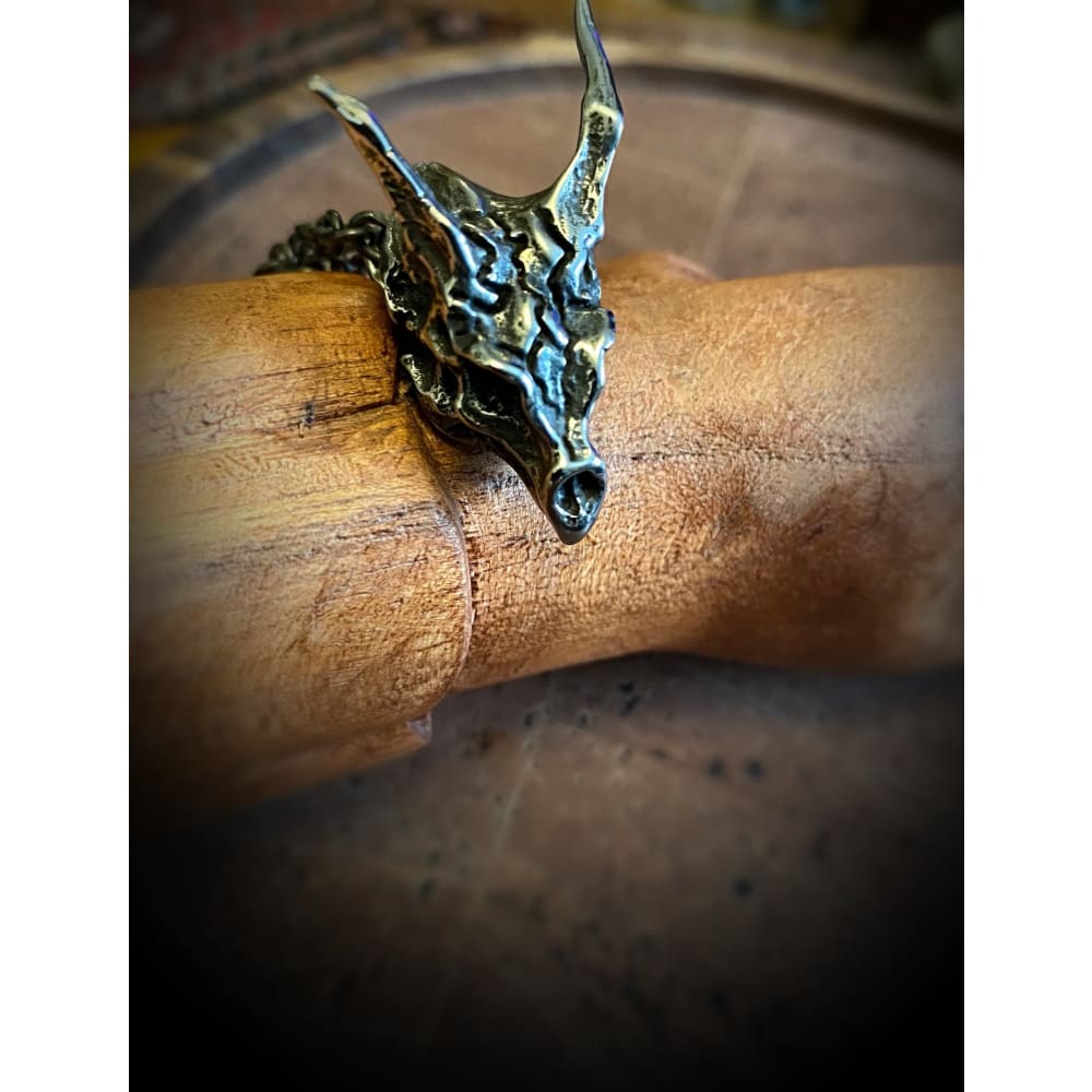 Viking Necklace - Dragon Skull