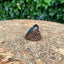 Pagan Ring - Labradorite Premium Stone